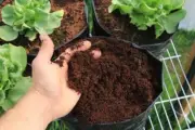 10L 2kg Coco Peat Coir Organic Growing Coconut Compost Media Natural Soil Hydrop
