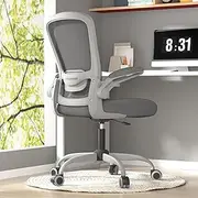 Office Chair, Ergonomic Desk Chair with Adjustable Lumbar Support, High Back Mesh Computer Chair with Flip-up Armrests-BIFMA Passed Task Chairs (Modern, Iron Gray with Gray Frame)