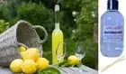 LIMONCELLO - Reed Diffuser Refill