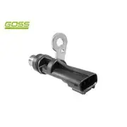 RAE Crankshaft Position Sensor - SC150