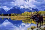 Moose Tile Backsplash Ceramic Mural Chapman Wildlife Animal Lodge Art RW-JTC003