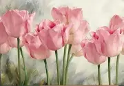 DIY Paint by Numbers Oil Painting Canvas for Kids or Adults Beginner