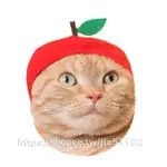 奇譚俱樂部扭蛋 貓咪專屬頭巾 水果系列