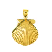 14K Gold 20 MM Scallop Shell Pendant