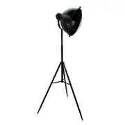 [Florabelle Living] Orion Black Focus Floor Lamp
