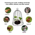 10Packs Garden Chicken Wire Cloches Thickened Plant Protector Cloche Covers