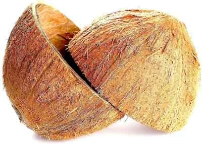 Coconut Shell Halves Eco friendly Ceylon 100% Natural pure Free Shipping From SL