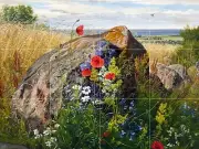 Wild flowers in a cornfield poppy Tile Mural Kitchen Backsplash Marble Ceramic