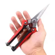 Stainless Steel Picking Pruning Shears Grape Scissors Pruning Branch Scissors