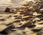 Long Reef Rocks Flat by Jeff Grant Seascape Print