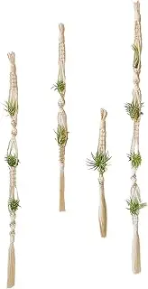 4Pcs Air Plant Holder, Tassel Macrame Plant Hanger Display Wall Hanging Planter Boho Flower Woven Basket Balcony Decorative Home Decoration, Air Plants Live Holders