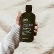 Paul Mitchell Tea Tree Lavender Mint Moisturising Shampoo 300ml