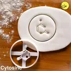 ATCG Cytosine cookie cutter microbiology dna genetic molecule chromosome phd