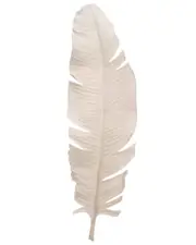 Jamie Young Feather Object