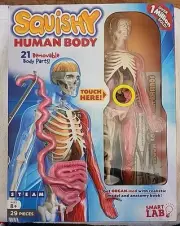 SmartLab QPG Lab Squishy Human Body Kids Grade 3-8 Educational Toy Science