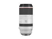 Canon RF 100-500mm f4.5-7.1L IS USM Lens