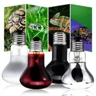25/50/75/100W UVA Lamp Amphibian Bird Light Heat Reptile Bulb Snake Day Night AU