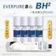 【Everpure】美國原廠平行輸入 BH2 濾心+高品質前置5uPP濾心(5支組)