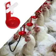 10 Set Chicken Drinking Cup Automatic Poultry Drinking Waterer Drinker With W US