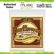 Ernie Ball Earthwood Loop End 5 String Banjo Bluegrass Strings, 9-20 - 2063
