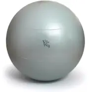 65Cm Exercise Ball Yoga Ball Fitness Stability Ball Balance Ball Gym - Gray