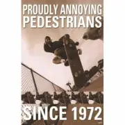 Skateboarding - Proudly Annoying Pedestrians Since 1972 POSTER 61x91cm NEW