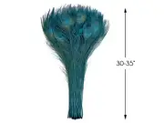 50 Pieces - 30-35" Teal Green Bleached & Dyed Peacock Tail Eye Wholesale Feather