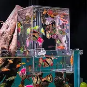 Negative Pressure Fish Tank - Clear Elevator Water Auto-Refill, Water Level Maintenance, Increased Activity Area, Aquarium Decoration, Vacuum Suspended