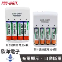 在飛比找蝦皮商城優惠-PRO-WATT 110V~220V 鎳氫電池充電器 內附 