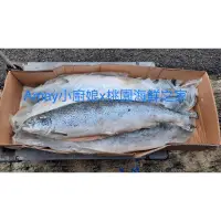 在飛比找蝦皮購物優惠-冷凍智利整尾鮭魚（premium等級/1尾7.1～7.3kg