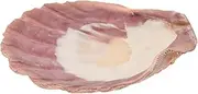 TINEASUR Elegant Shell Tray Jewelry Plate Display Jewelry Holder Trinket Dish Ring Stand