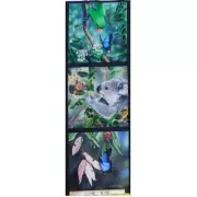 Patchwork Quilting Sewing Fabric Parrot Koala Butterfly Panel 40x110cm
