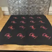 Authentic Fireball Cinnamon Whisky Handkerchief Bandana 21x22