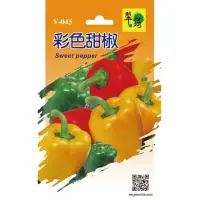 在飛比找momo購物網優惠-【翠筠用品】蔬菜種子F組