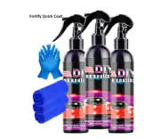 3 In 1 Quick Coating Spray High Protection Shine Armor Ceramic Car Wash shield