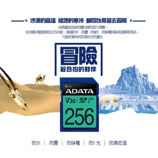 威剛 ADATA Premier Pro SDXC U3 V30 64GB 記憶卡 蝦皮直送