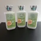 Bath & Body Works Cucumber Melon Body Lotion 8 fl oz 3-pack – NEW
