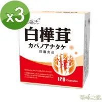 在飛比找momo購物網優惠-【草本之家】白樺茸膠囊3入組(120粒/入)