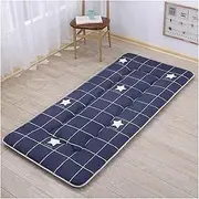 Futon Mattress 5cm Folding Floor Mattresses Breathable Tatami Mattress Fold Single Mattress Can Be Used As Bedroom Futon/Living Room Futon/Sleeping Floor Mat 23.5.14s