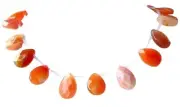 Botswana Agate Briolette Bead Strand | 18x12x5mm | Orange | Briolette | 22 Beads