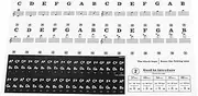 VICASKY Beginner Piano Learning Tool 37/49/54/61/88 Keys Piano Stickers Thin Comfortable No Resistance