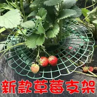 在飛比找樂天市場購物網優惠-【珍愛頌】N428 新款帶花邊 草莓支架 草莓托盤 草莓架 