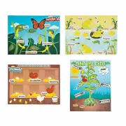 Life Cycle Sticker Scene Assortment, Educational, 1 Piece