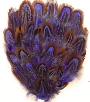 ONE DYED PHEASANT FEATHER PAD - PURPLE; Headband/Hats