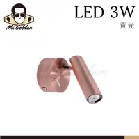 在飛比找蝦皮購物優惠-【購燈先生】附發票 大友照明 LED 3W 床頭閱讀燈 (黃