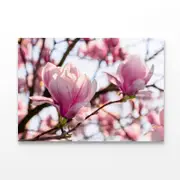 Pink Flower Blossom Springtime Print 100% Australian Made 120 x 90cm (Acrylic)