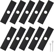 [iGreely] 10 Pack 613223 8" x 2" Edger Blades Compatible with Ryobi, Echo, Stihl, Maruyama,Green Machine Edger,Replace 720-237-001, 4133-713-4101, 216062, 237001-1 Inch Hole