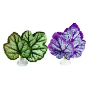 Betta Fish Leaf Pad With Suction Cup Fish Hammock Aquarium Fish Tank Decoration