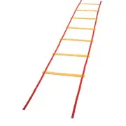 Champion Sports Economy Agility Ladder - 20'L x 20"W