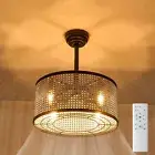 18.5" Caged Ceiling Fan with Ligh Ts and Remote Control, Farmhouse Woven Cage...